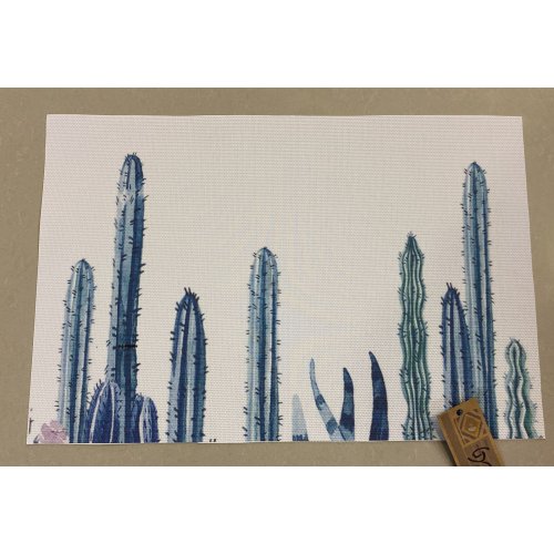 Individuales pvc cactus 30x 45 cm